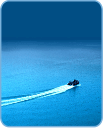 img_02.gif img_02.gif